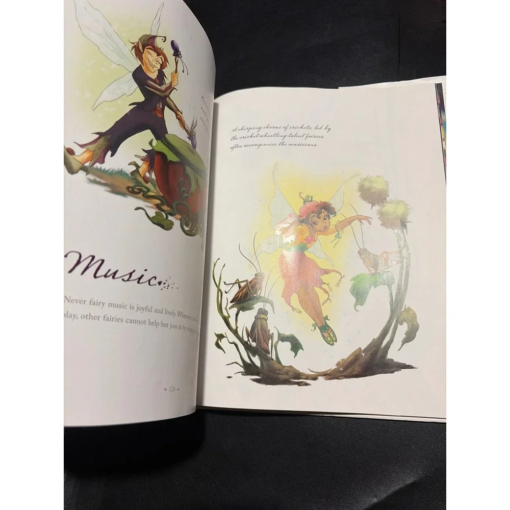Disney In the Realm of the Never Fairies Pixie Hollow 1st Ed Tinker Bell HC DJ